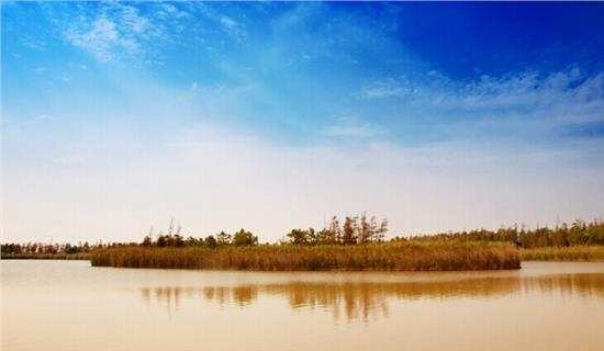 “必一运动官网”方舱医院实战演练