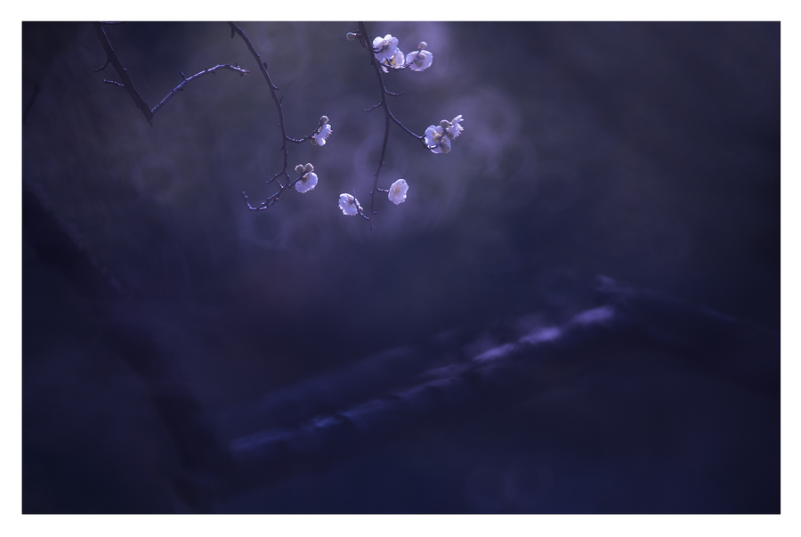 【必一运动官网】县民政局到清塘镇开展春节前“送温暖”慰问活动