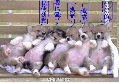 两天一赛 赛程密集，大雾+寒冷天气严重影响U23联赛-bsports必一体育