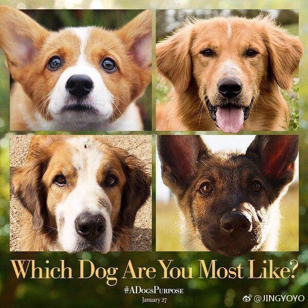 ‘bsports必一体育’我县开展“礼让斑马线 文明共参与”志愿服务活动(图3) 必一运动官网