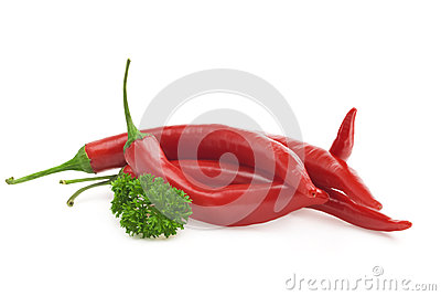 县畜牧局到花山瑶族乡学习传达党的十九大精神专题党课“bsports必一体育”