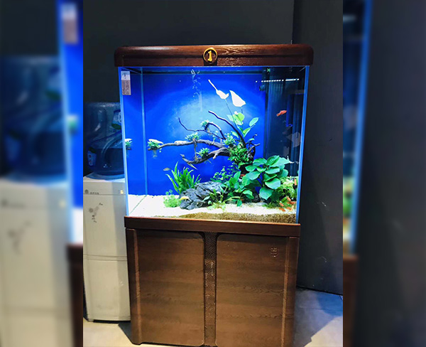 必一运动官网:“国王”阿德重返梅阿查球场为国米助威(图3) bsports必一体育