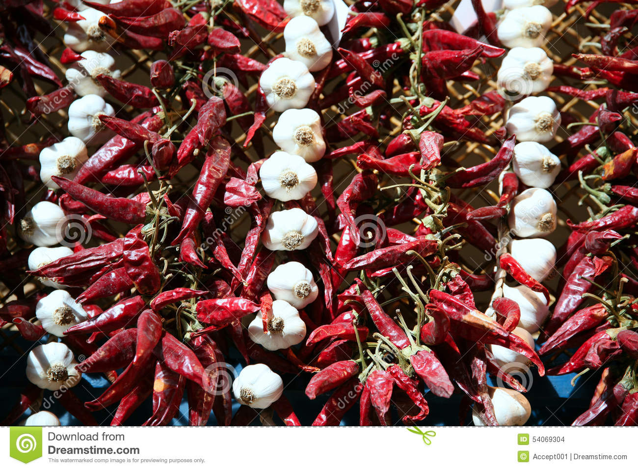 必一运动bsport体育