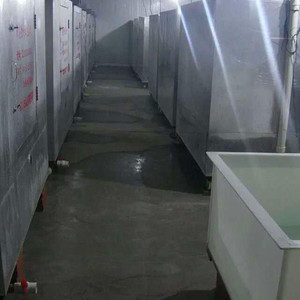 必一运动官网|钟世萍到红花村开展“七一”主题活动