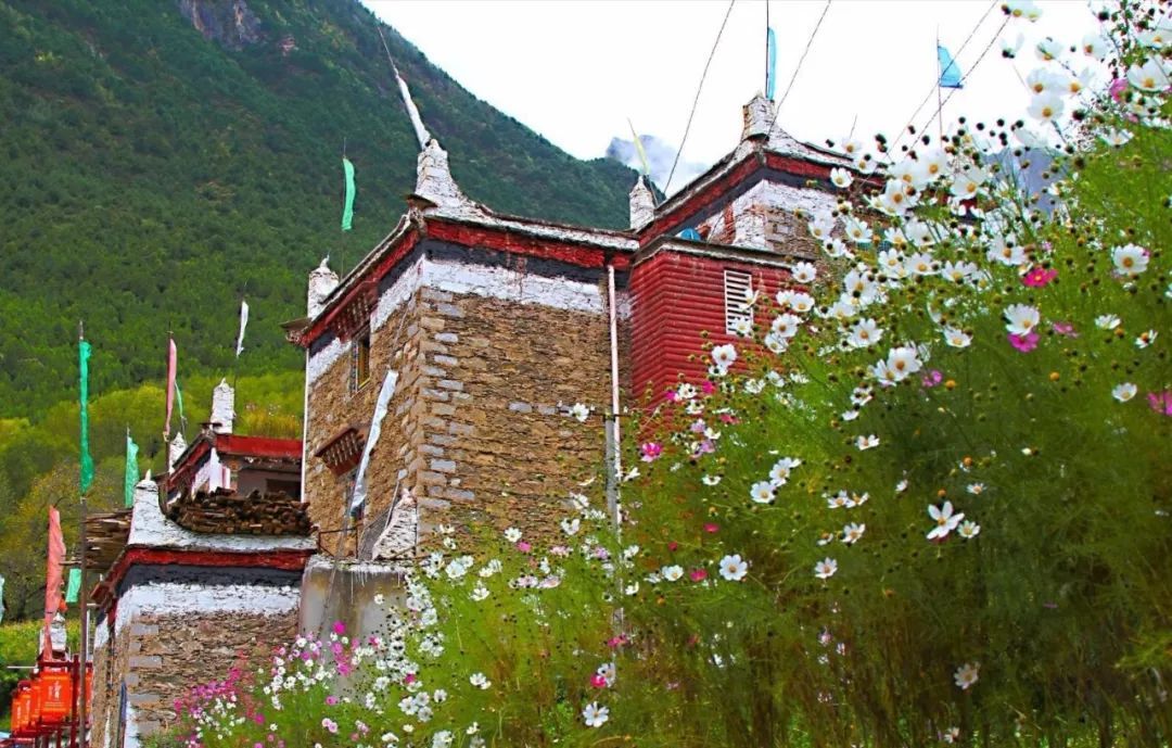 西安科技大学将设立陕西省首个应急管理学院|必一运动