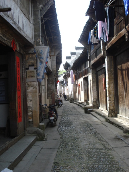 “必一运动官网”珊瑚镇开展“乡村振兴，美丽家园”志愿服务活动