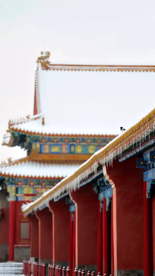 必一运动|上海黄浦消防靠前指导辖区重大火灾隐患整改